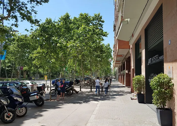 Ant Barcelona